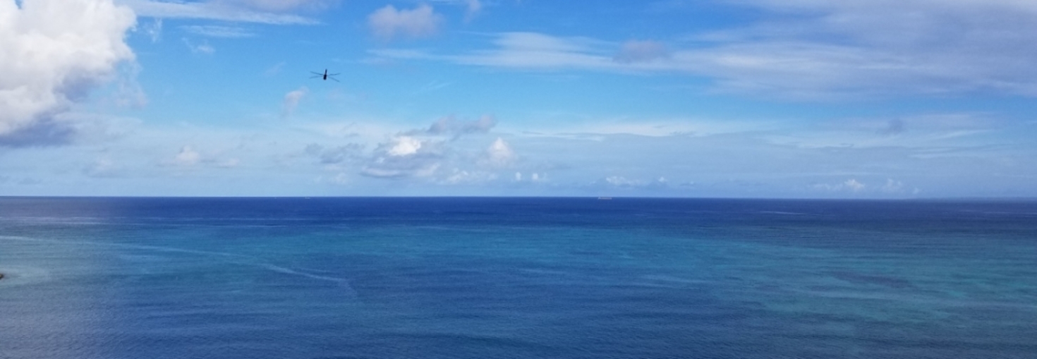 レビュアーのカバー画像