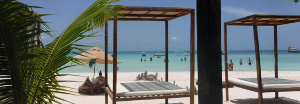 レビュアーのカバー画像