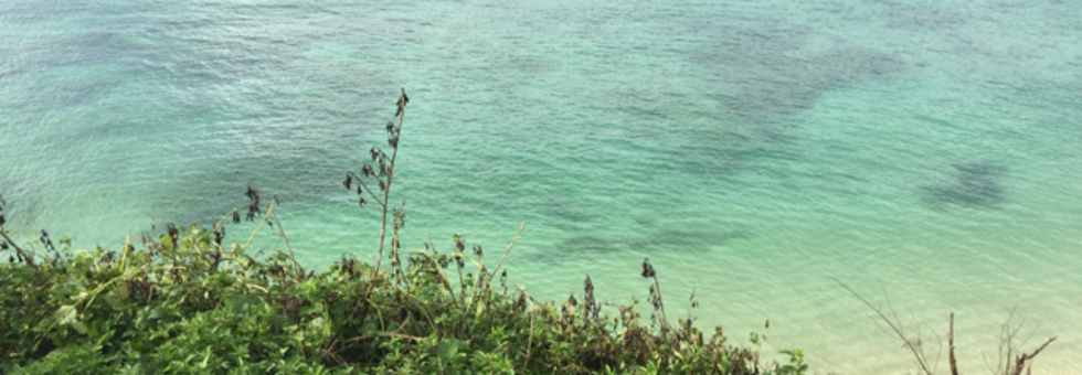 レビュアーのカバー画像