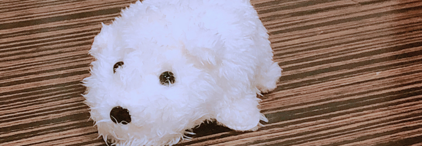 レビュアーのカバー画像