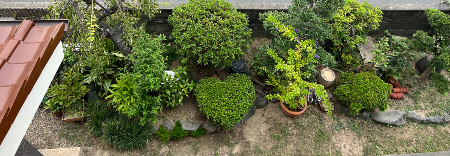 レビュアーのカバー画像