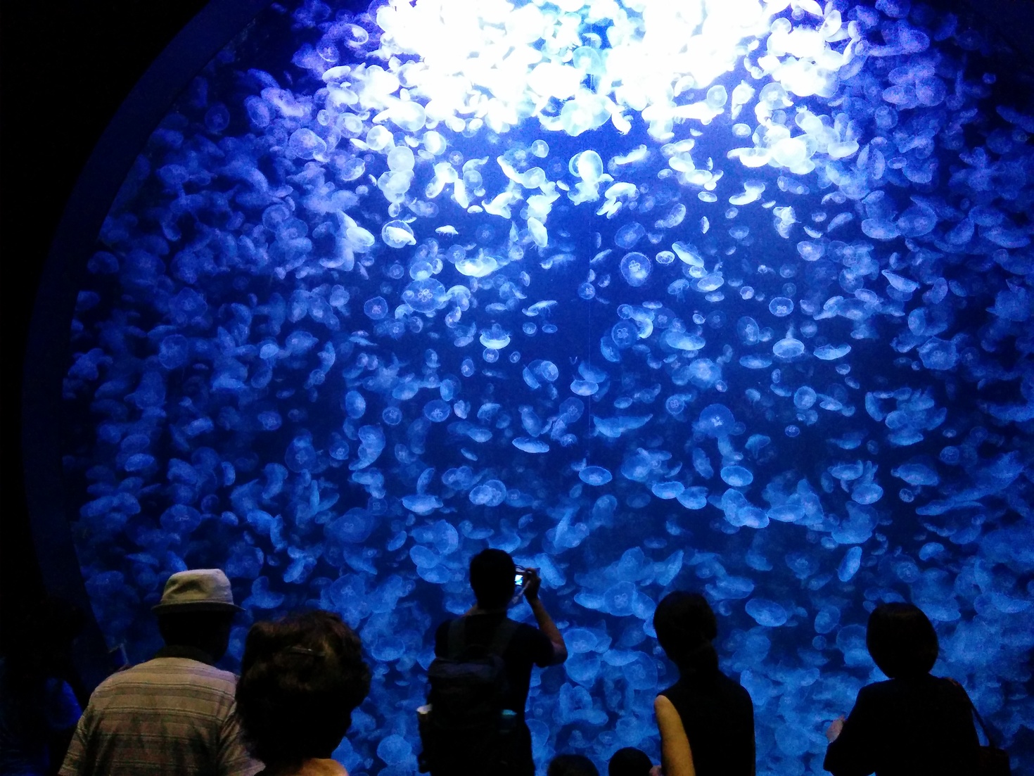 レビュアーのカバー画像