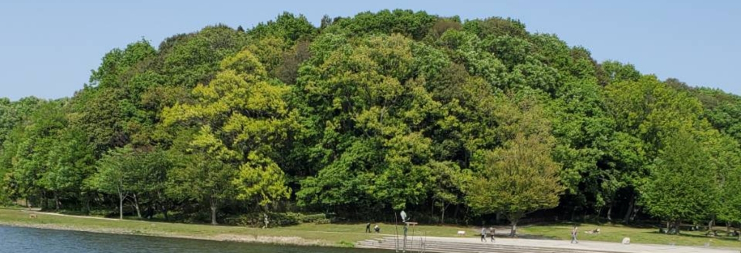 レビュアーのカバー画像