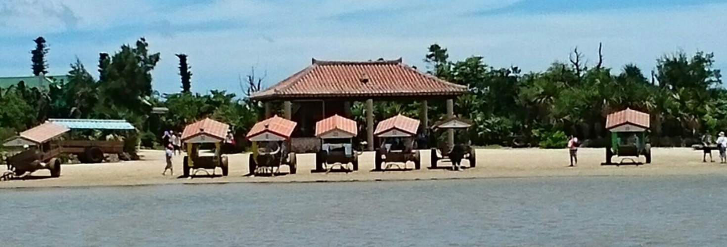 レビュアーのカバー画像