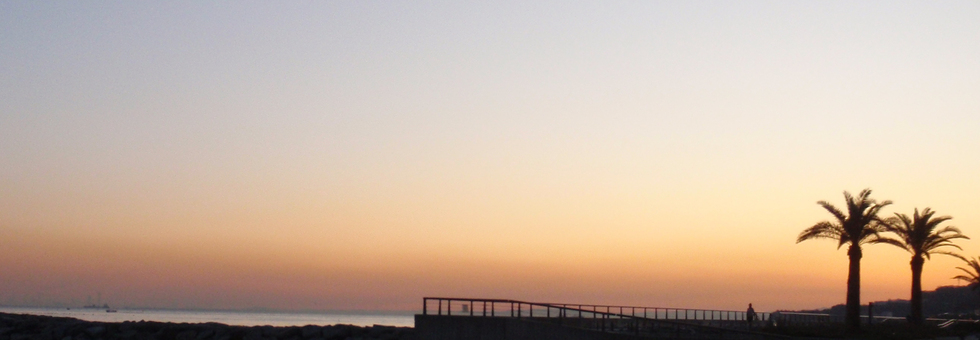 レビュアーのカバー画像