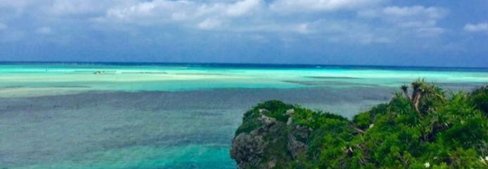 レビュアーのカバー画像