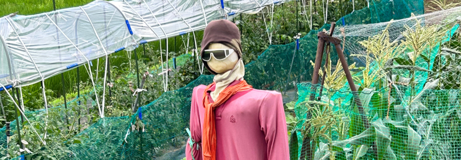 レビュアーのカバー画像