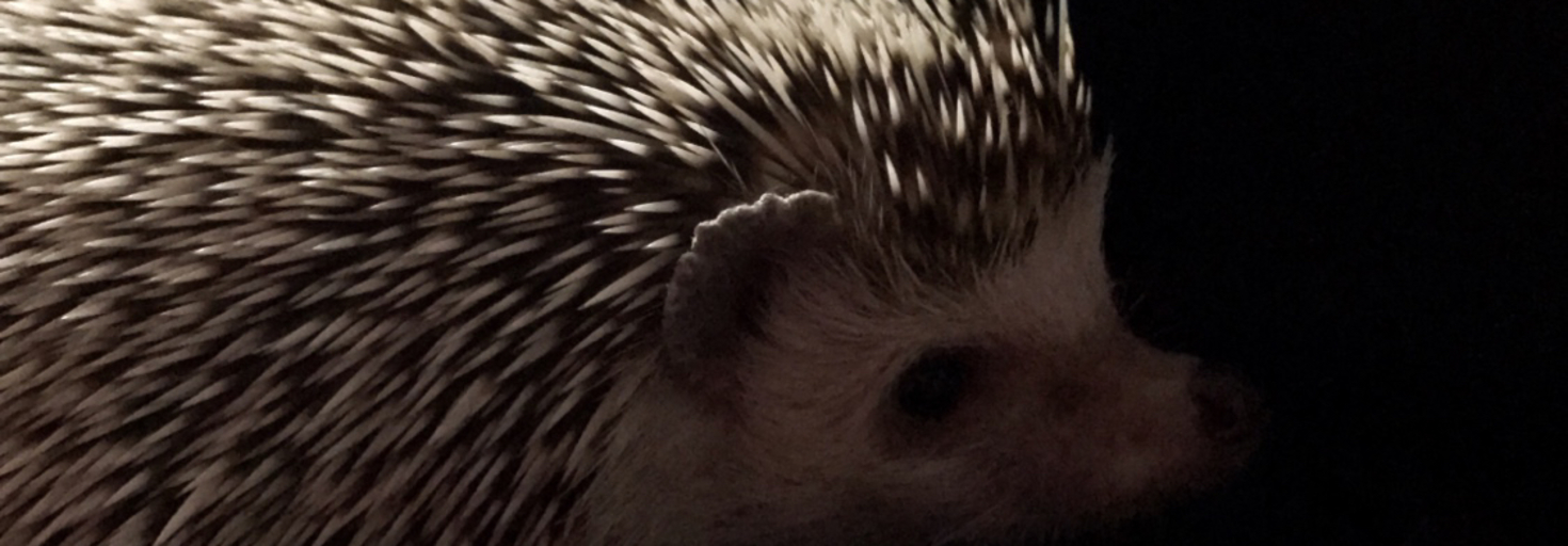 レビュアーのカバー画像