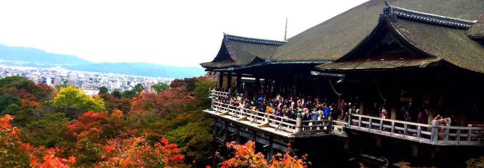 みーやん1414さんのトップページ 食べログ