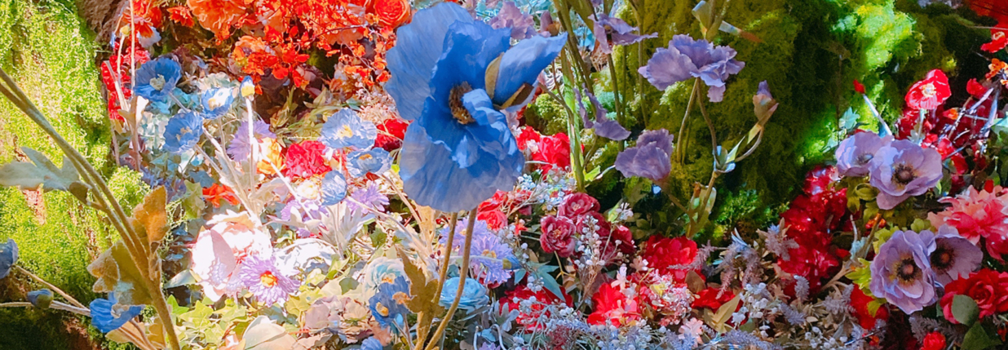 レビュアーのカバー画像