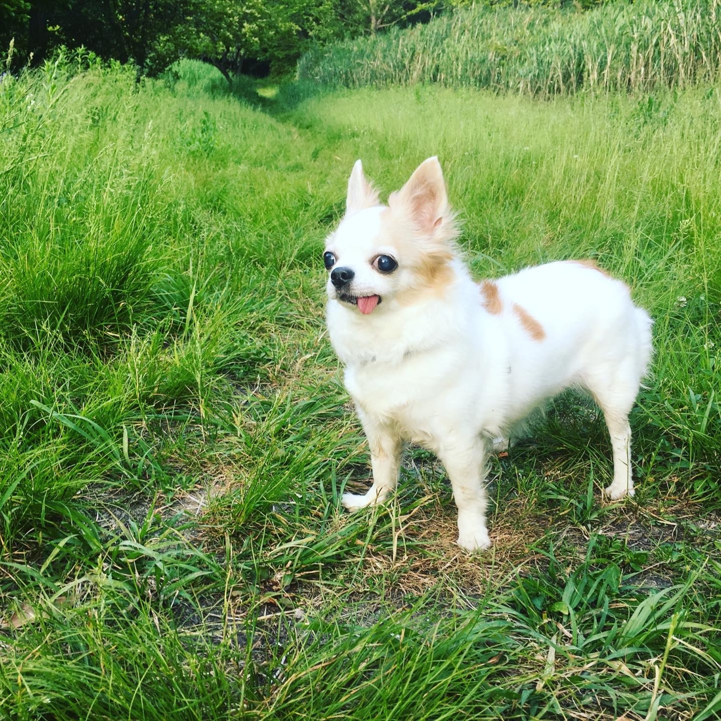 レビュアーのカバー画像