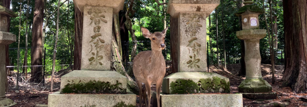 レビュアーのカバー画像