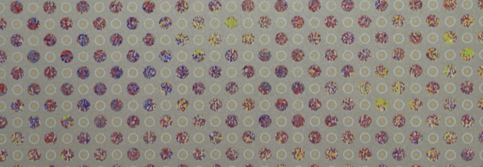 レビュアーのカバー画像