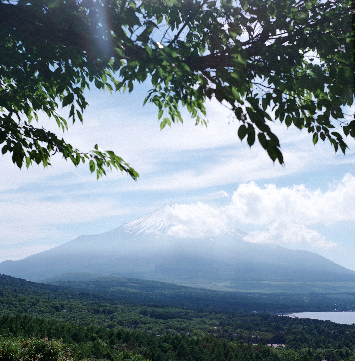 レビュアーのカバー画像