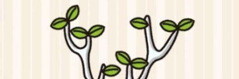 レビュアーのカバー画像