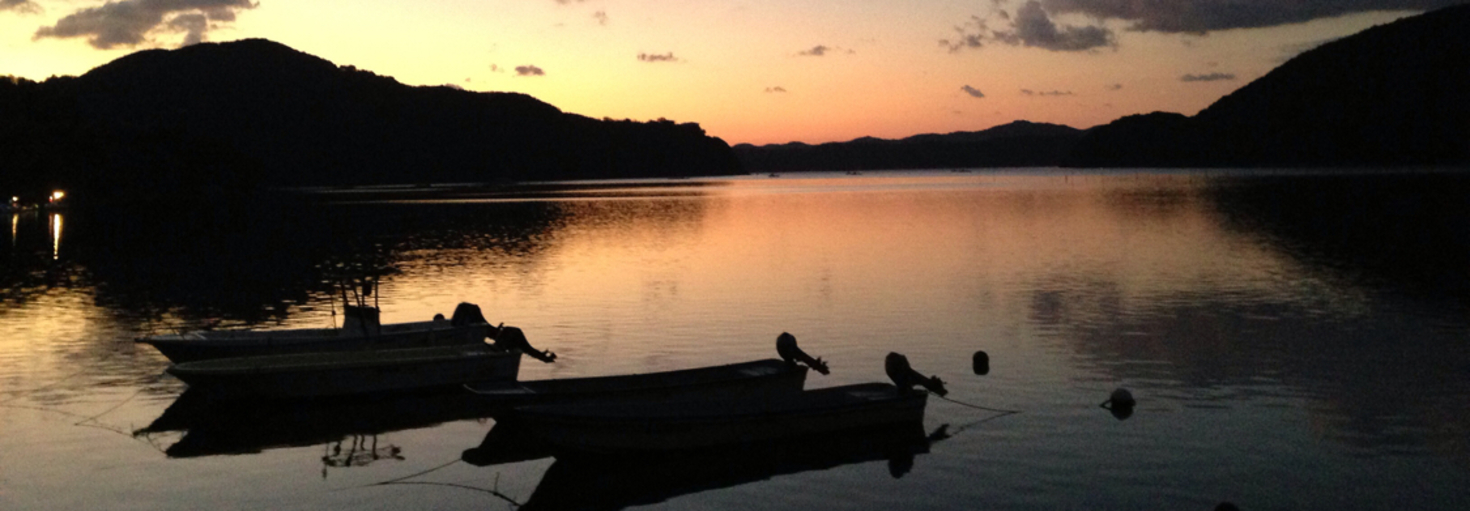 レビュアーのカバー画像