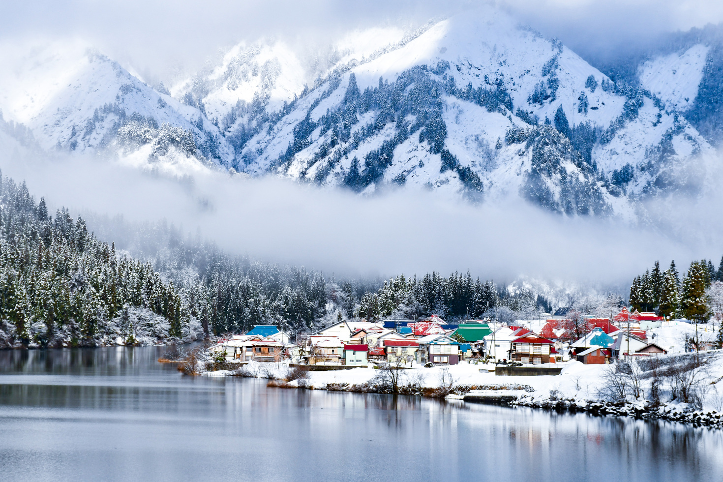 レビュアーのカバー画像