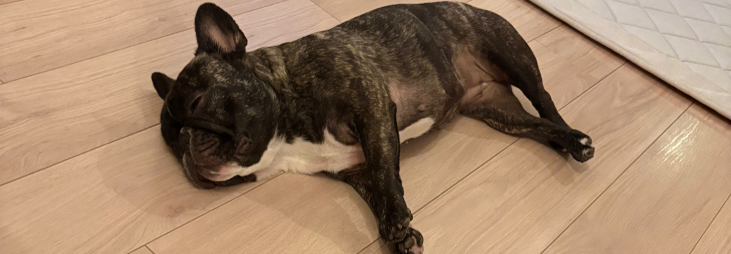 レビュアーのカバー画像