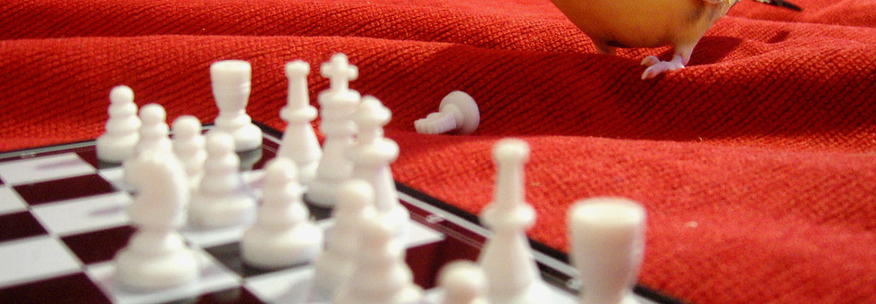 レビュアーのカバー画像