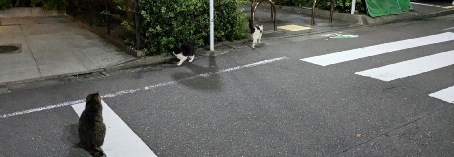 レビュアーのカバー画像