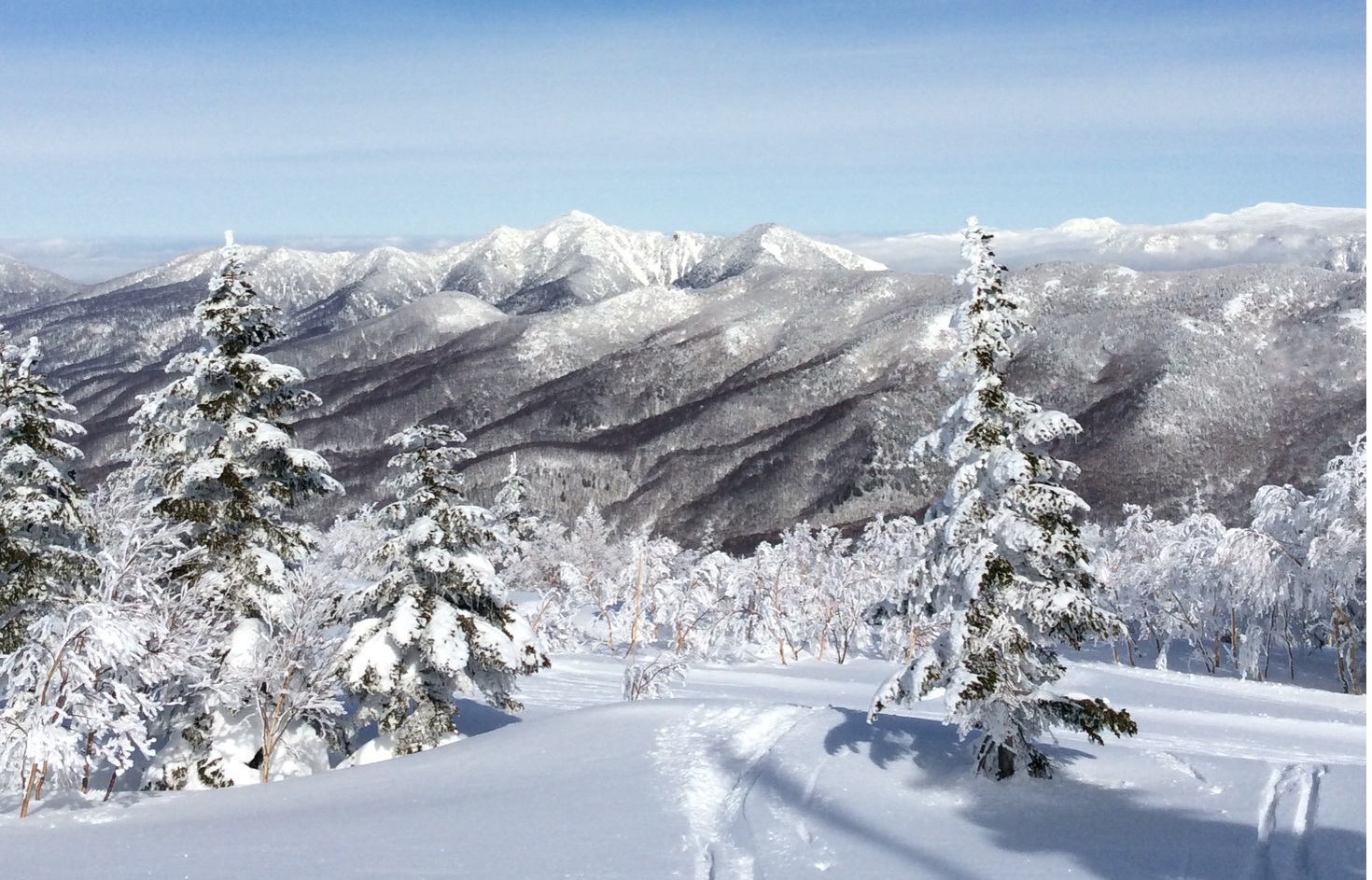 レビュアーのカバー画像