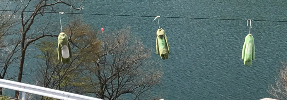 レビュアーのカバー画像