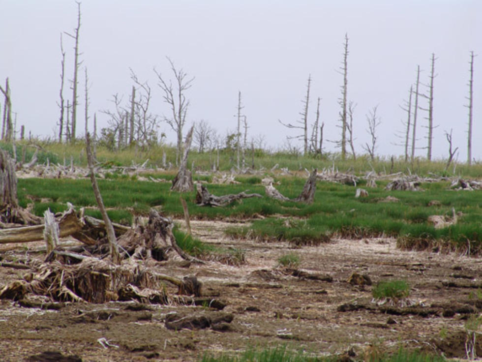 トドワラさんのトップページ [食べログ]