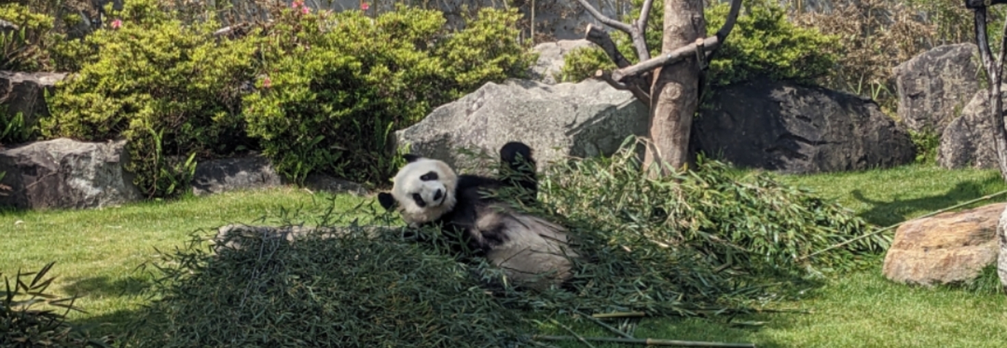 レビュアーのカバー画像