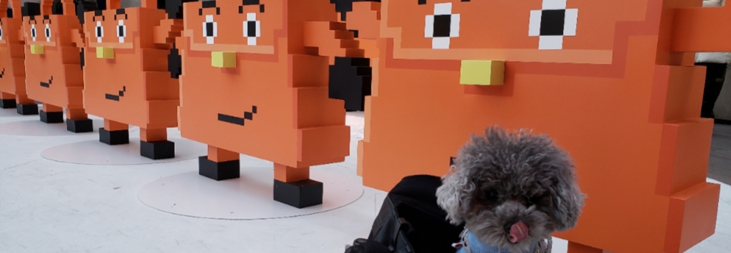 レビュアーのカバー画像