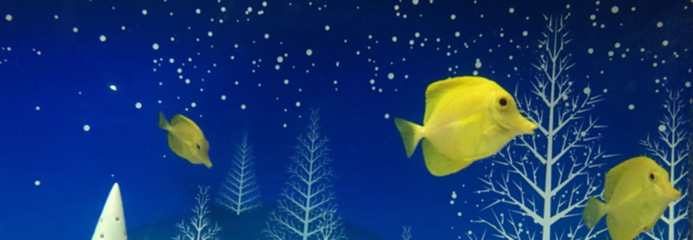 レビュアーのカバー画像