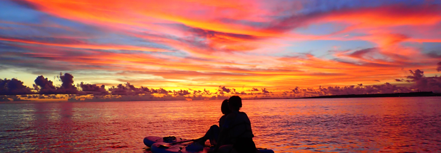 レビュアーのカバー画像