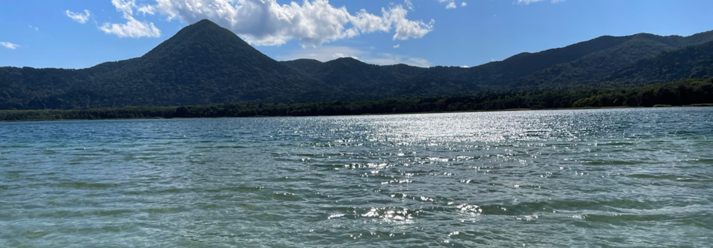 レビュアーのカバー画像