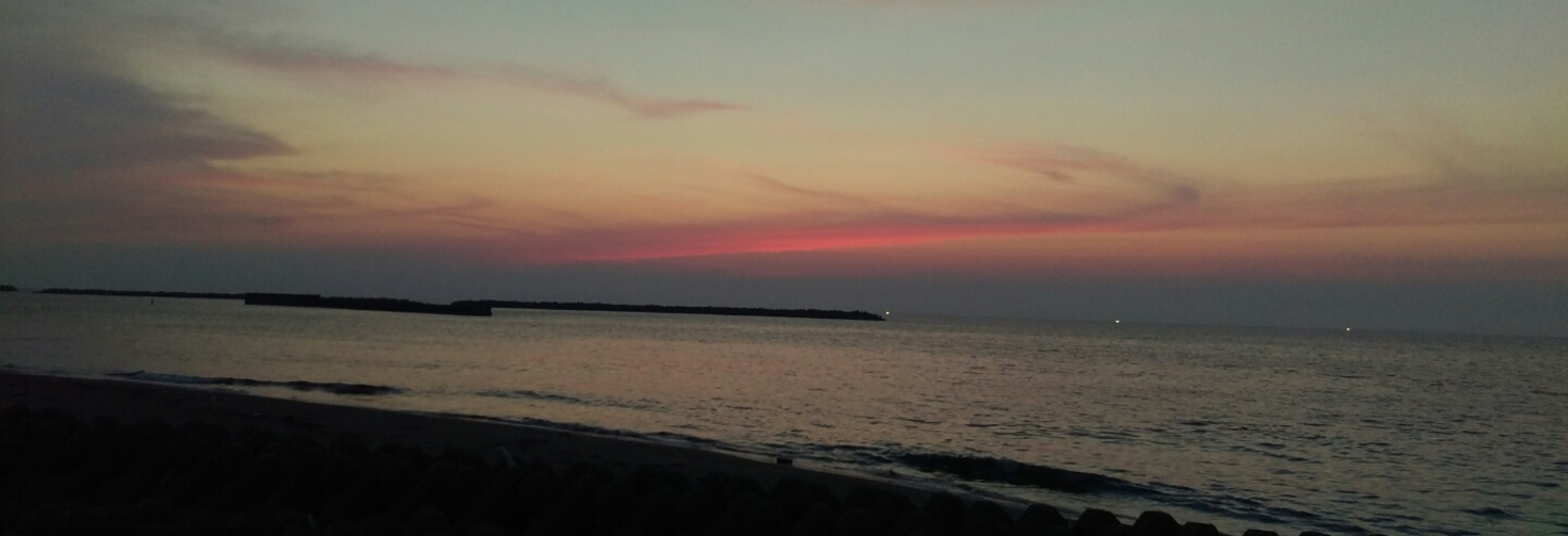 レビュアーのカバー画像