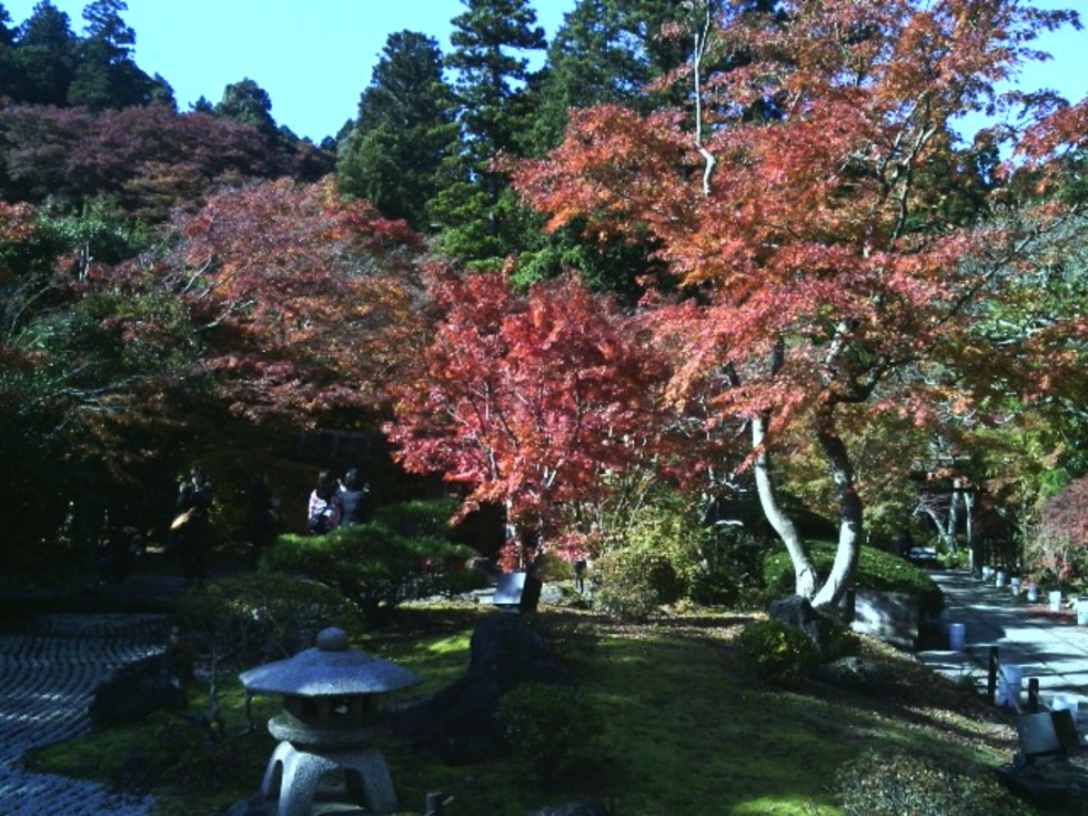 レビュアーのカバー画像