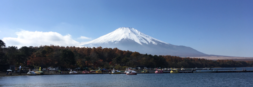 レビュアーのカバー画像