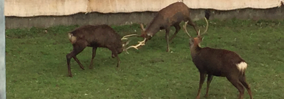 レビュアーのカバー画像