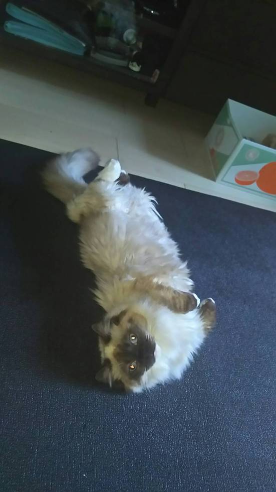 レビュアーのカバー画像