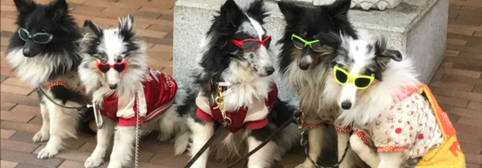 レビュアーのカバー画像