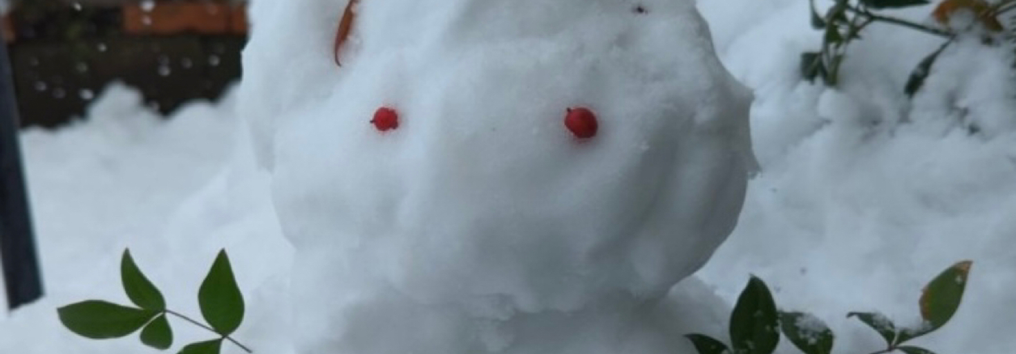 レビュアーのカバー画像