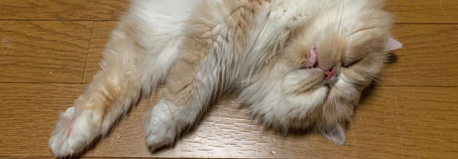 レビュアーのカバー画像