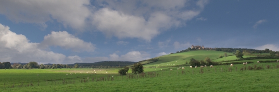 レビュアーのカバー画像