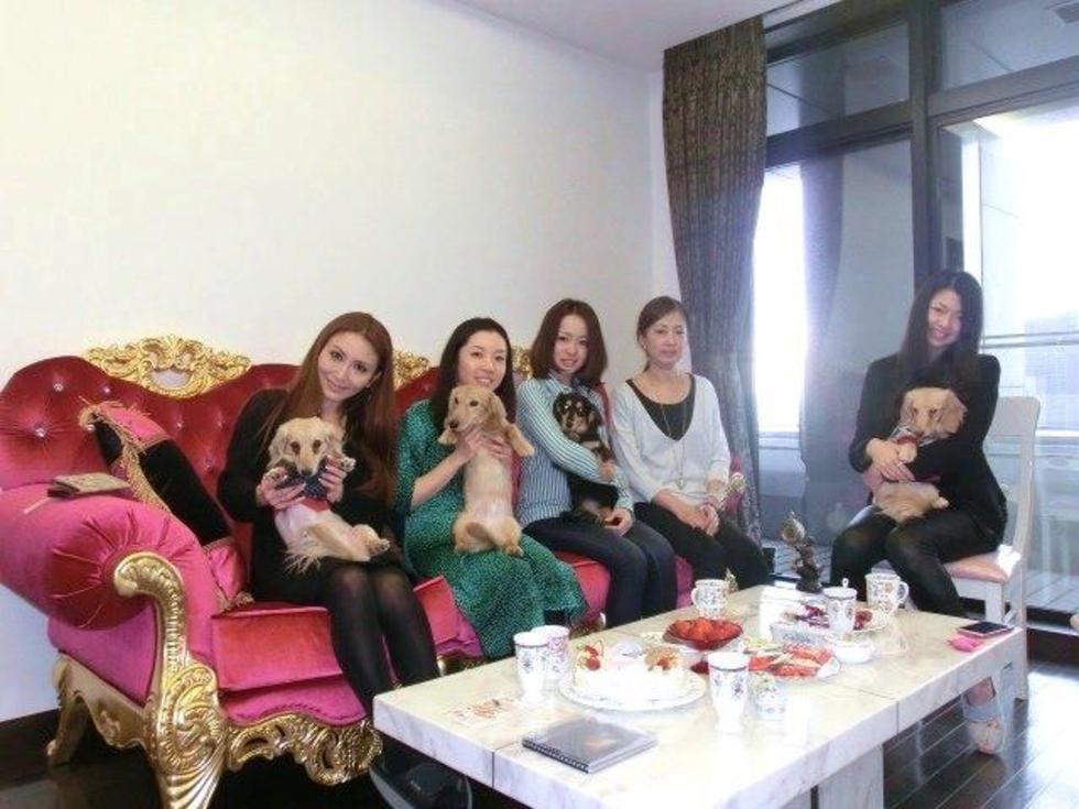 レビュアーのカバー画像