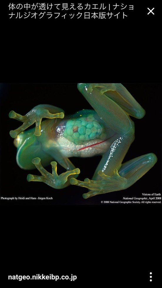 レビュアーのカバー画像