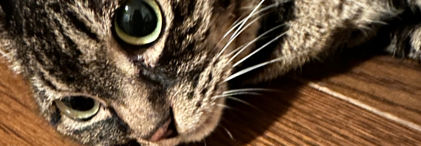 レビュアーのカバー画像