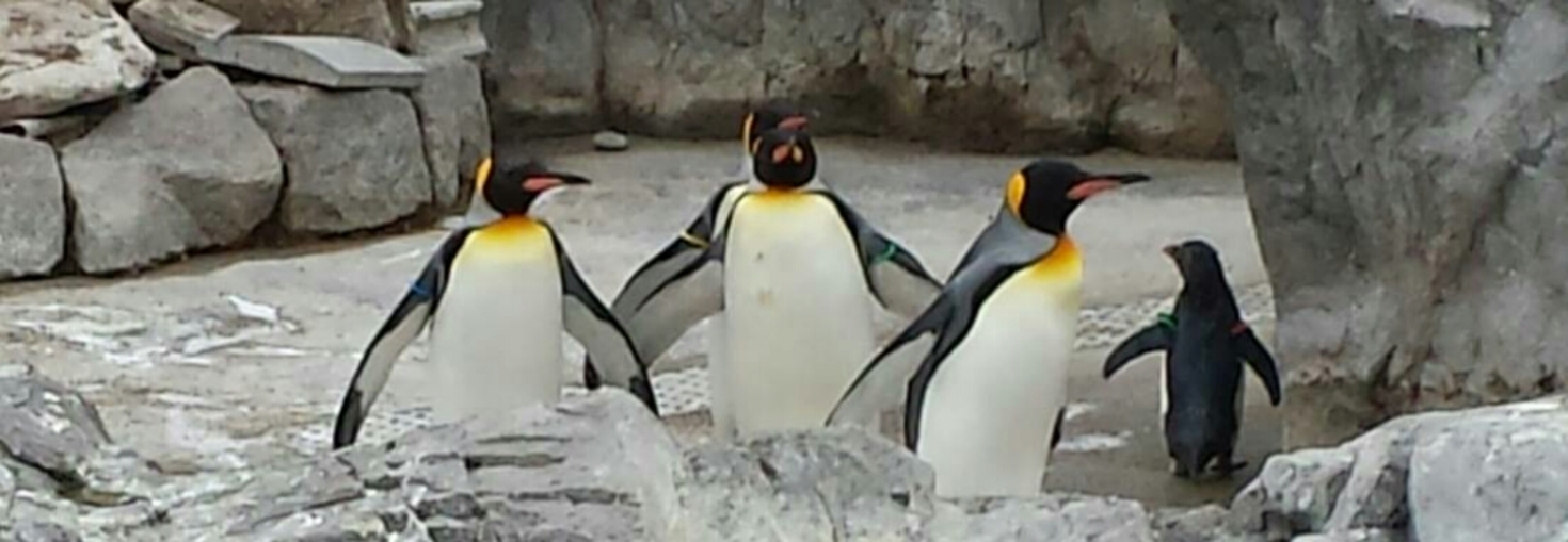 レビュアーのカバー画像