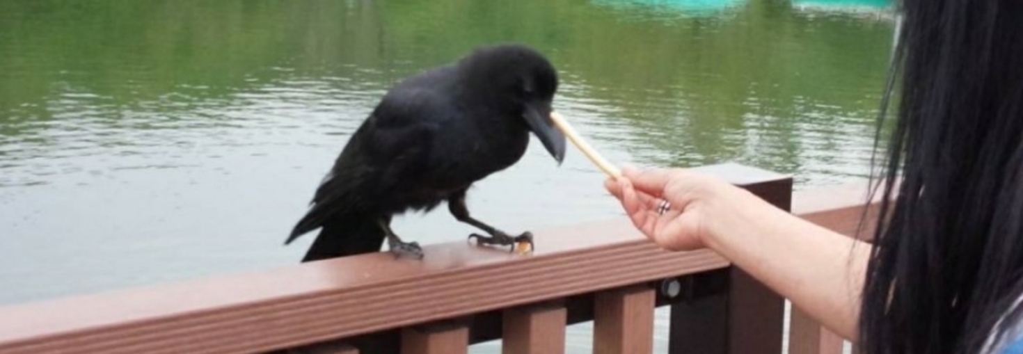 レビュアーのカバー画像