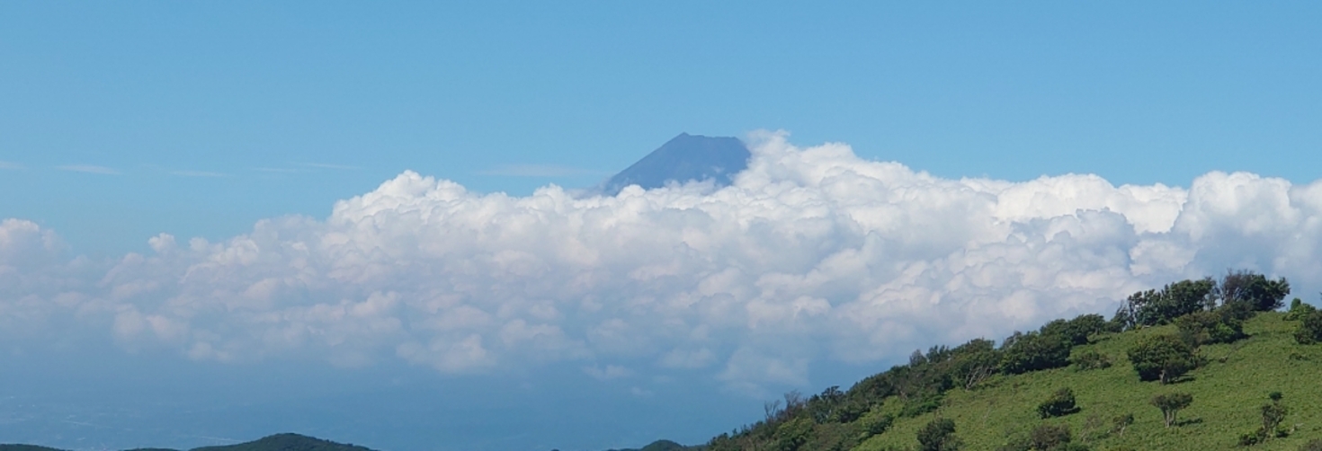 レビュアーのカバー画像