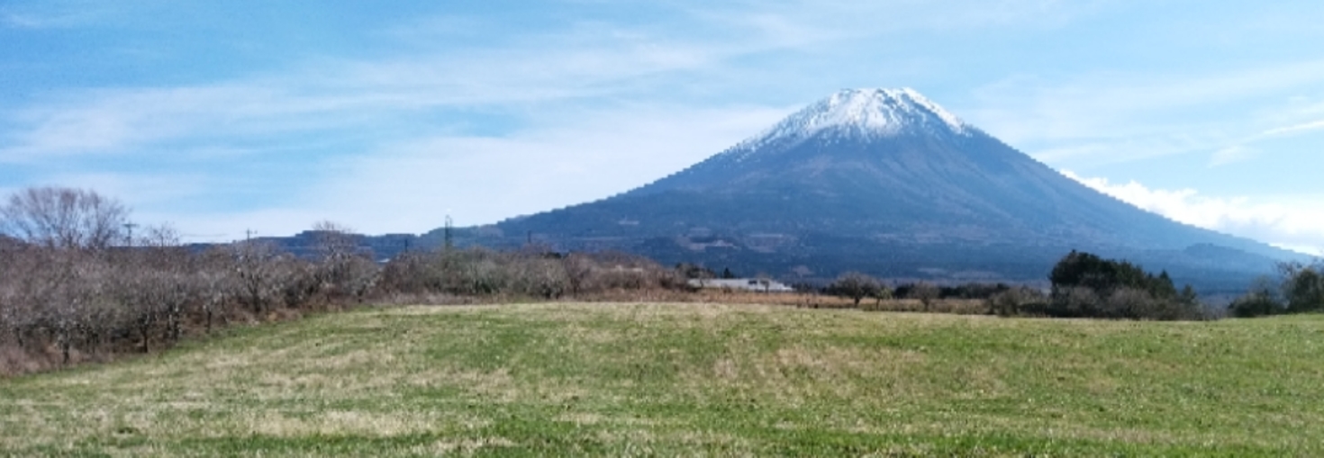 レビュアーのカバー画像