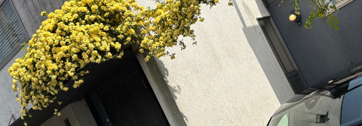 レビュアーのカバー画像