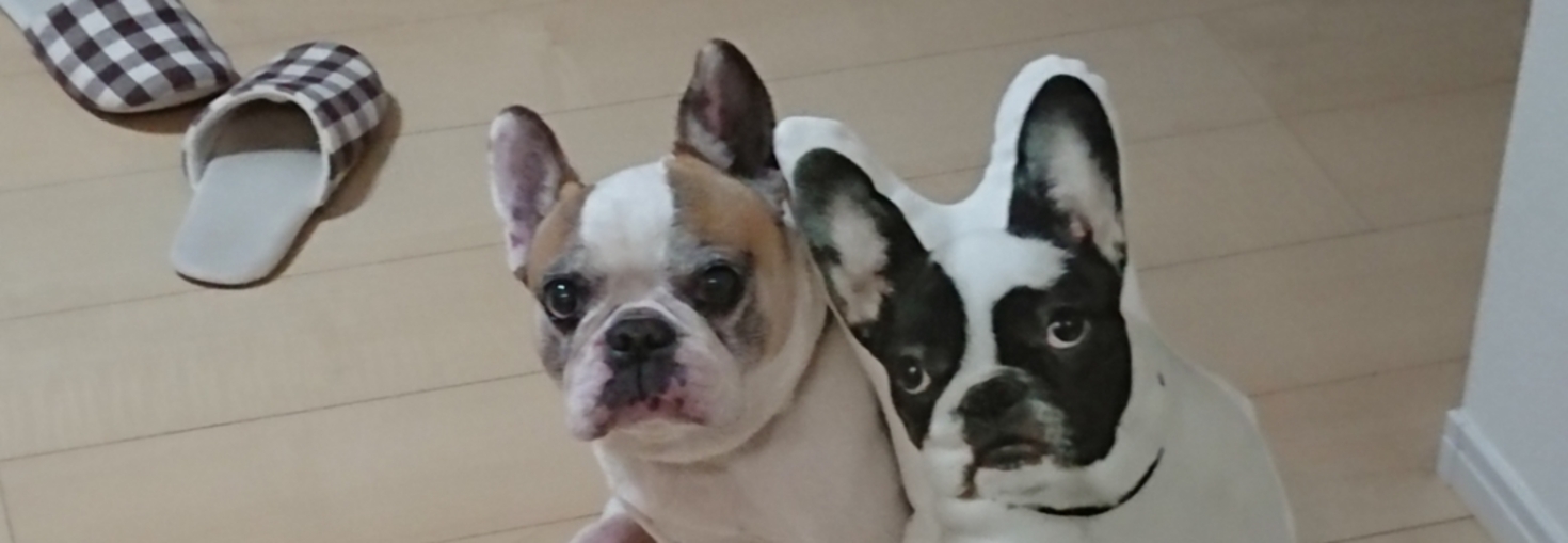 レビュアーのカバー画像